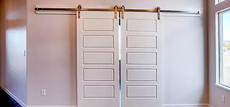 Glass Barn Door with Installation Hardware Kit West Chicago