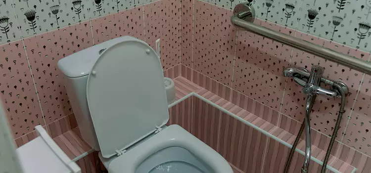 Meeting Diverse Needs With Accessible Restroom Solutions in West Chicago, IL