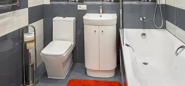 Hansgrohe Shaving Mirror West Chicago