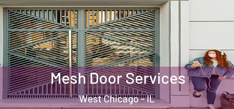  Mesh Door Services West Chicago - IL